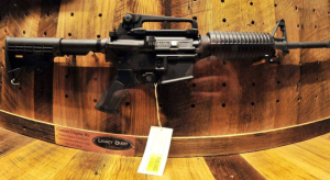 gun-rights-wins_-and_-losses-in_-the_-courts-in_-2016